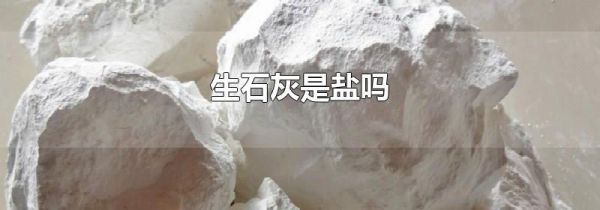 生石灰是盐吗