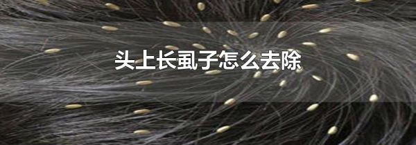 头上长虱子怎么去除