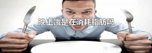 晚上饿是在消耗脂肪吗