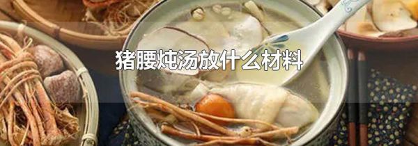 猪腰炖汤放什么材料