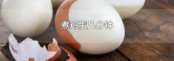 煮鸡蛋几分钟