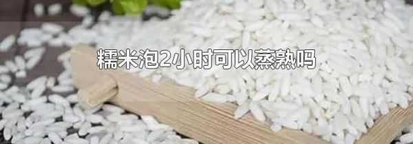 糯米泡2小时可以蒸熟吗
