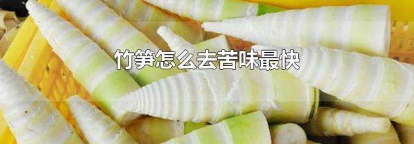 竹笋怎么去苦味最快