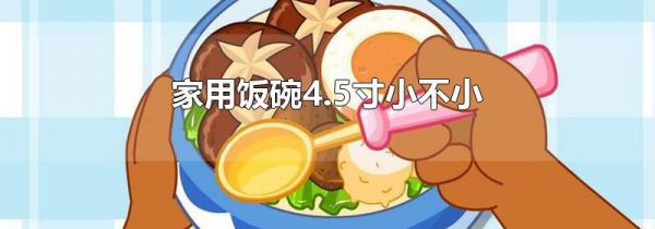 家用饭碗4.5寸小不小