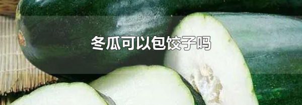 冬瓜可以包饺子吗