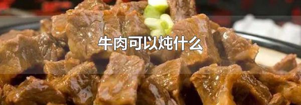 牛肉可以炖什么