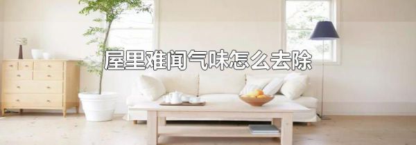 屋里难闻气味怎么去除