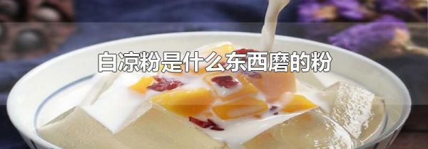 白凉粉是什么东西磨的粉