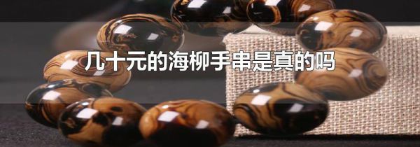 几十元的海柳手串是真的吗