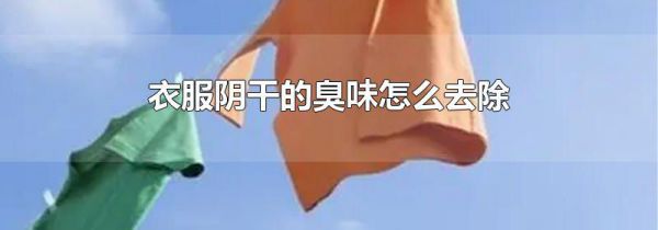 衣服阴干的臭味怎么去除