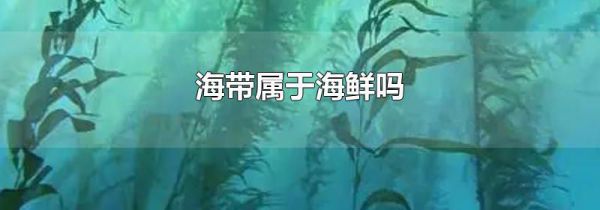 海带属于海鲜吗