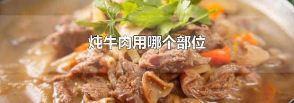 炖牛肉用哪个部位