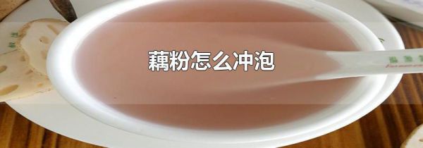 藕粉怎么冲泡