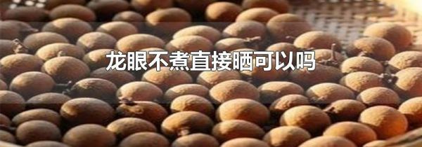 龙眼不煮直接晒可以吗