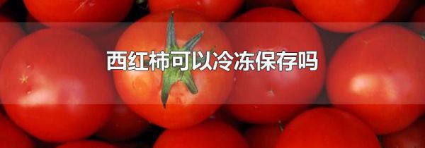 西红柿可以冷冻保存吗