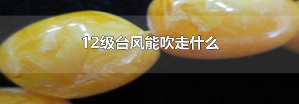 12级台风能吹走什么