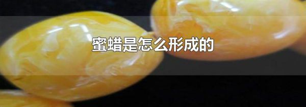 蜜蜡是怎么形成的