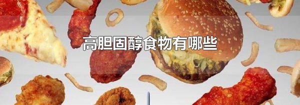 高胆固醇食物有哪些