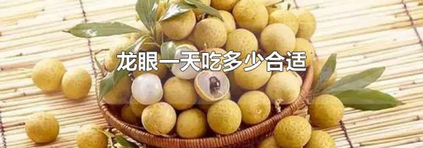 龙眼一天吃多少合适