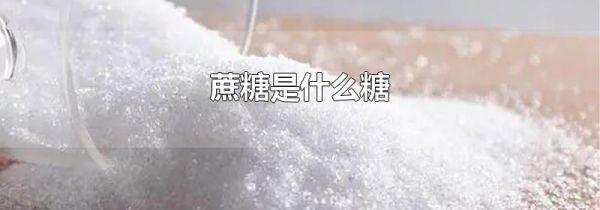 蔗糖是什么糖
