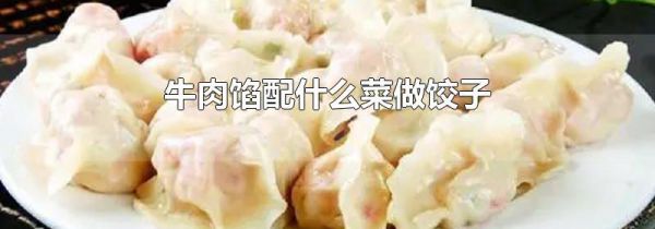 牛肉馅配什么菜做饺子