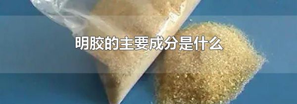 明胶的主要成分是什么