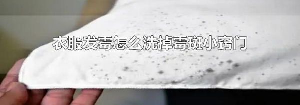 衣服发霉怎么洗掉霉斑小窍门