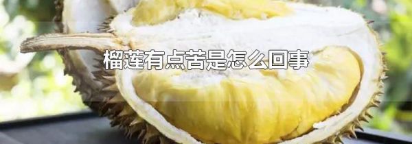 榴莲有点苦是怎么回事