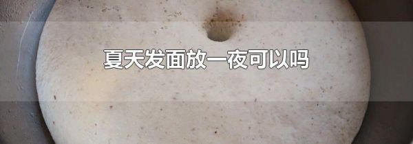 夏天发面放一夜可以吗