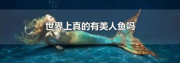 世界上真的有美人鱼吗