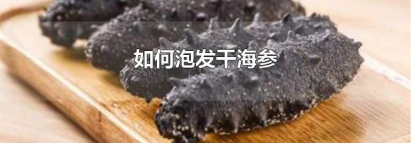 如何泡发干海参