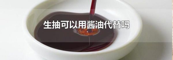 生抽可以用酱油代替吗