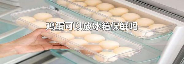 鸡蛋可以放冰箱保鲜吗