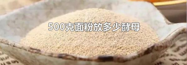 500克面粉放多少酵母