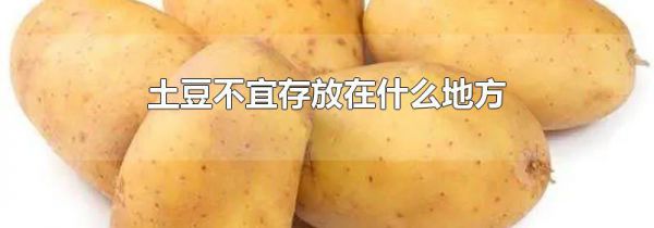土豆不宜存放在什么地方