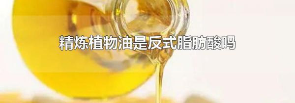 精炼植物油是反式脂肪酸吗