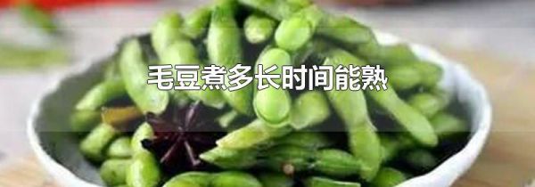 毛豆煮多长时间能熟