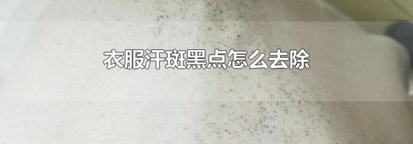 衣服汗斑黑点怎么去除