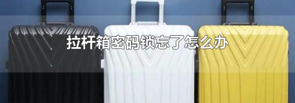 拉杆箱密码锁忘了怎么办