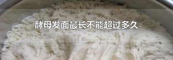 酵母发面最长不能超过多久