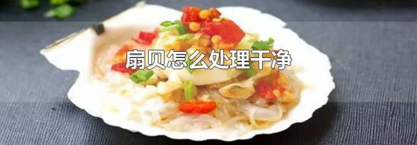 扇贝怎么处理干净