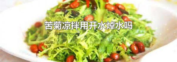 苦菊凉拌用开水焯水吗
