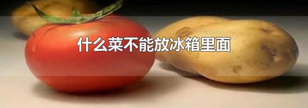 什么菜不能放冰箱里面