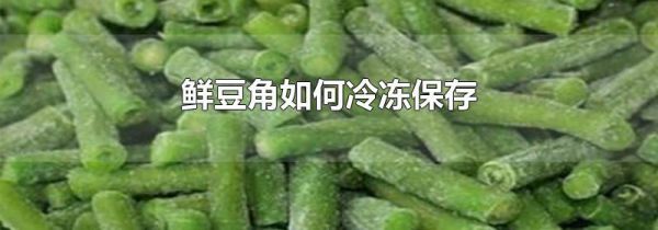鲜豆角如何冷冻保存