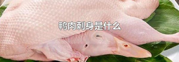 鸭肉刺身是什么