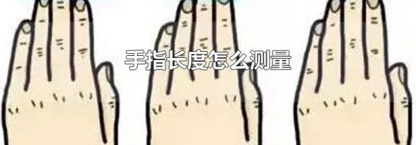 手指长度怎么测量