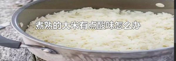 煮熟的大米有点酸味怎么办