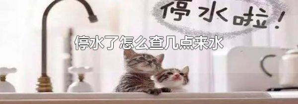 停水了怎么查几点来水