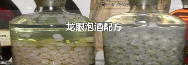 龙眼泡酒配方