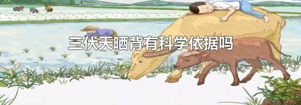 三伏天晒背有科学依据吗